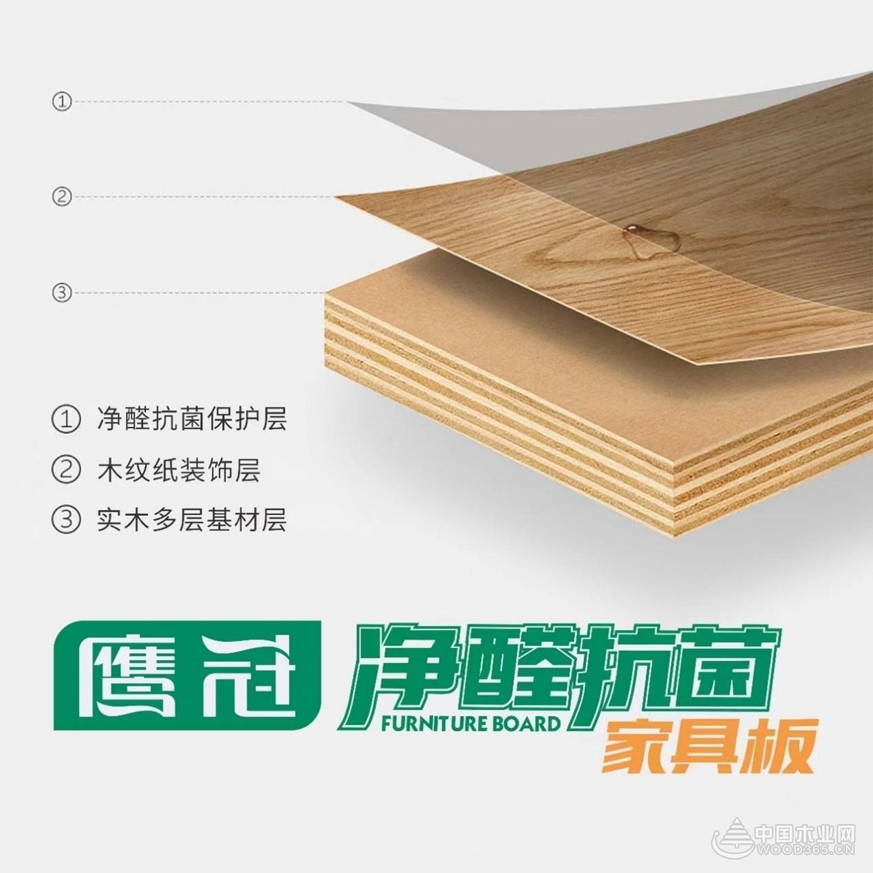 鹰冠板材是几线品牌 有哪些环保板材
