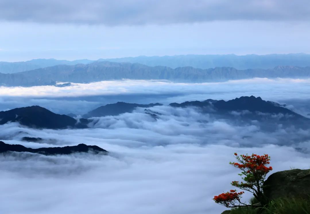 萍乡武功山云海图片