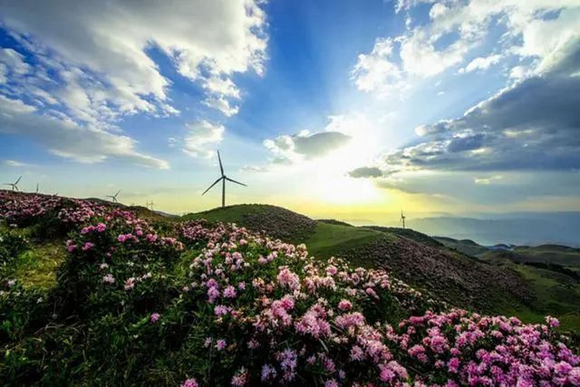 冬日好去处# 乌蒙大草原,这片广袤的草原,位于贵州省六盘水市盘质市