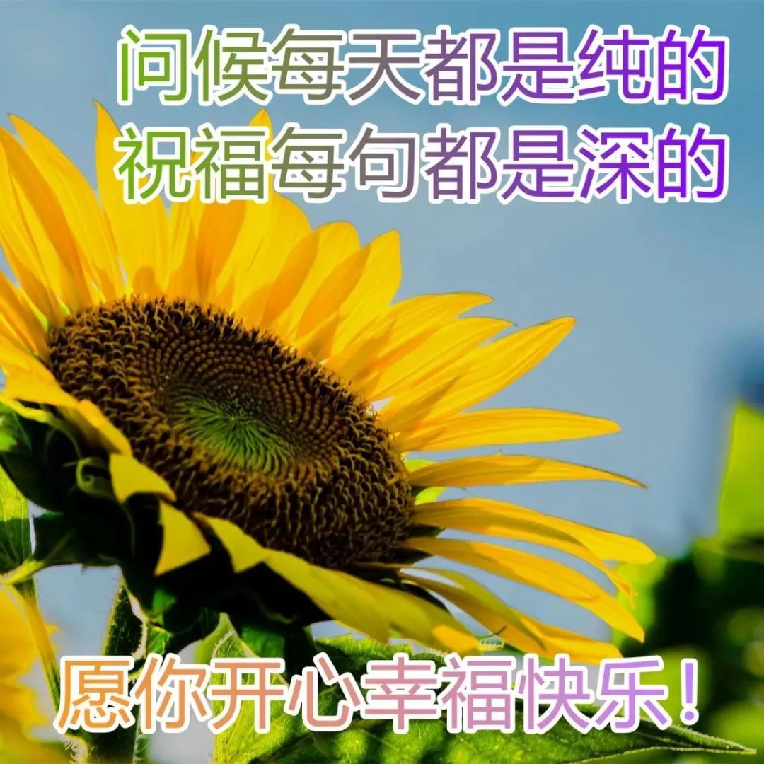 微信问候大家早上好鲜花表情 微信早上好祝福语鲜花图片大全