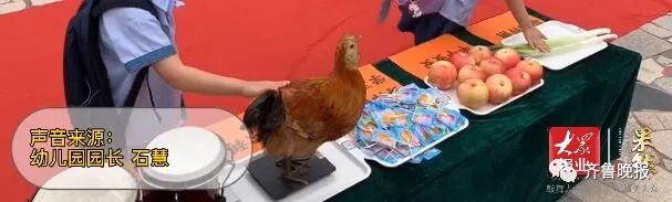 |开学第一天摸鸡、摸大葱？山东这个幼儿园画风有点可爱