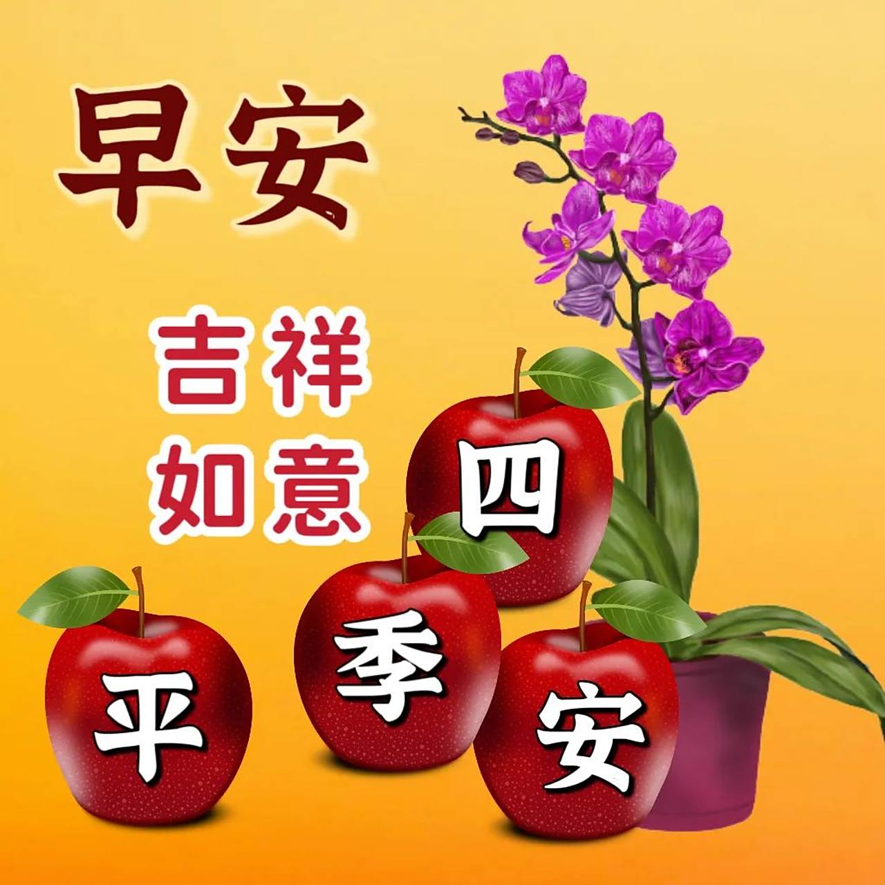 最新唯美早上好精选问候语祝福图片,愿你心情芬芳,生活舒畅!