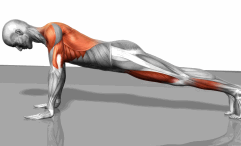 快来瞧瞧,你仰卧撑做对了吗?