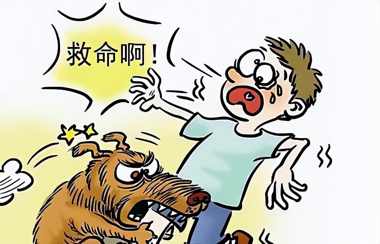 遇上疯犬咬人怎么办?不要怕