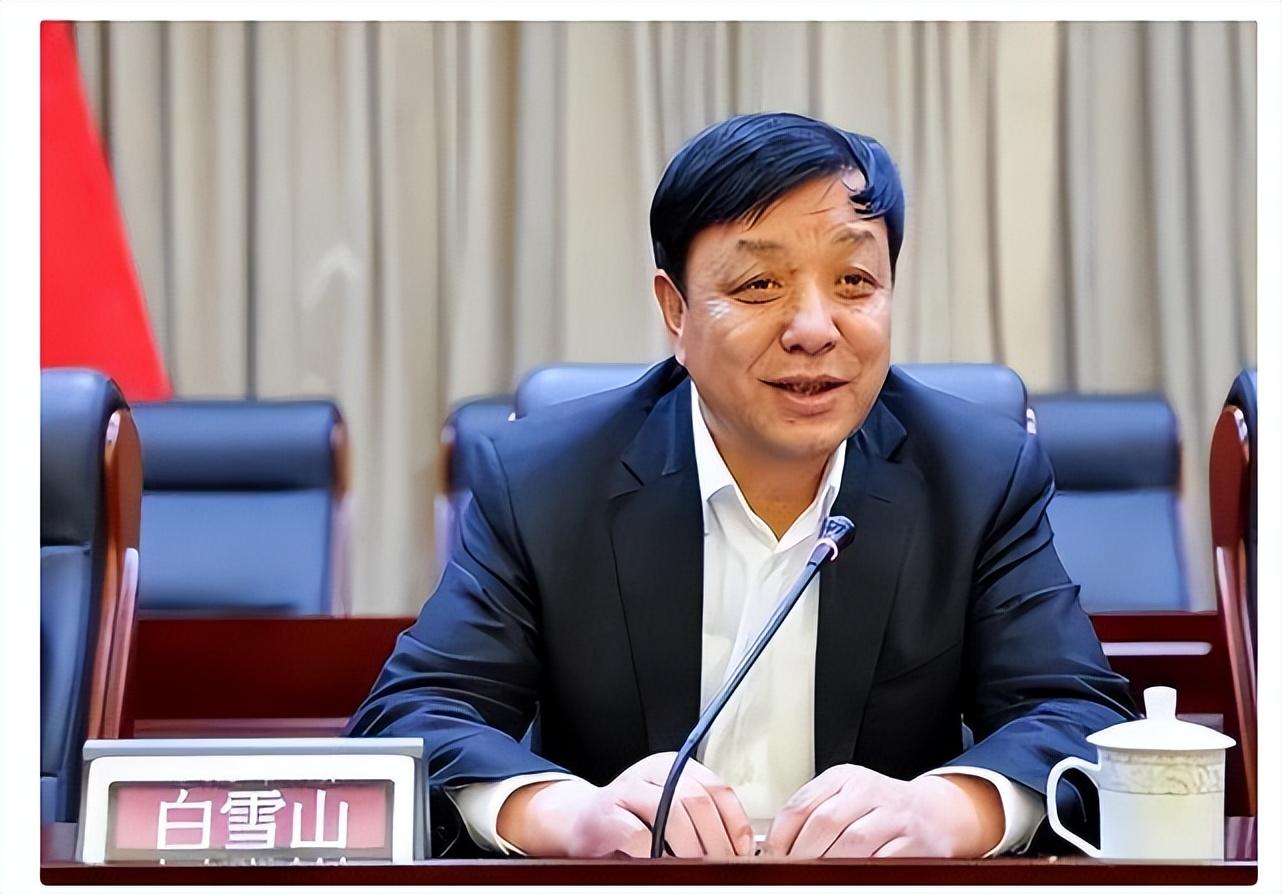 纪实:宁夏"大老虎"白雪山,底裤被曝扒光,恶行远超想象!