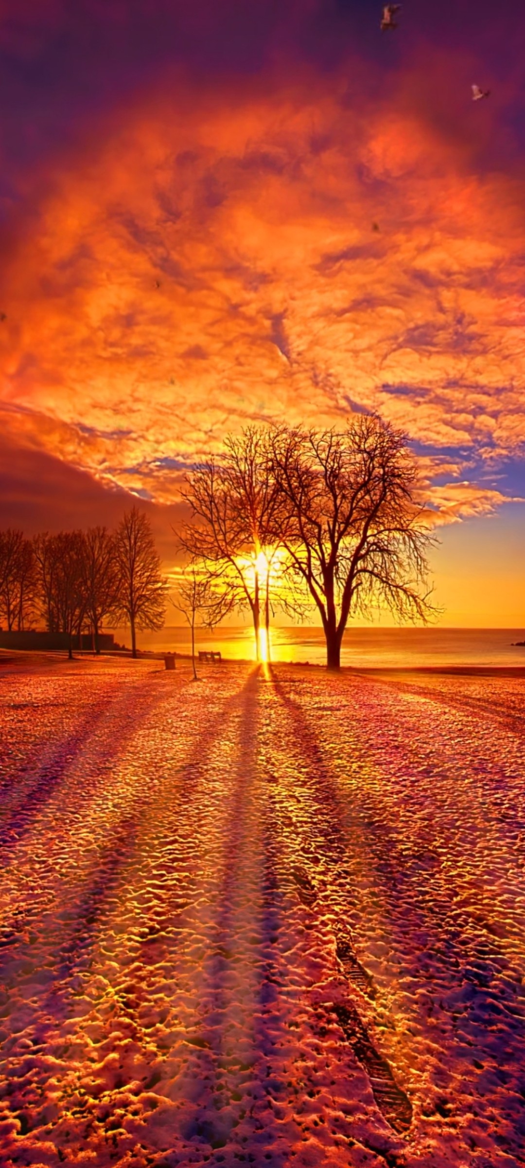 1080_2400竖版 竖屏