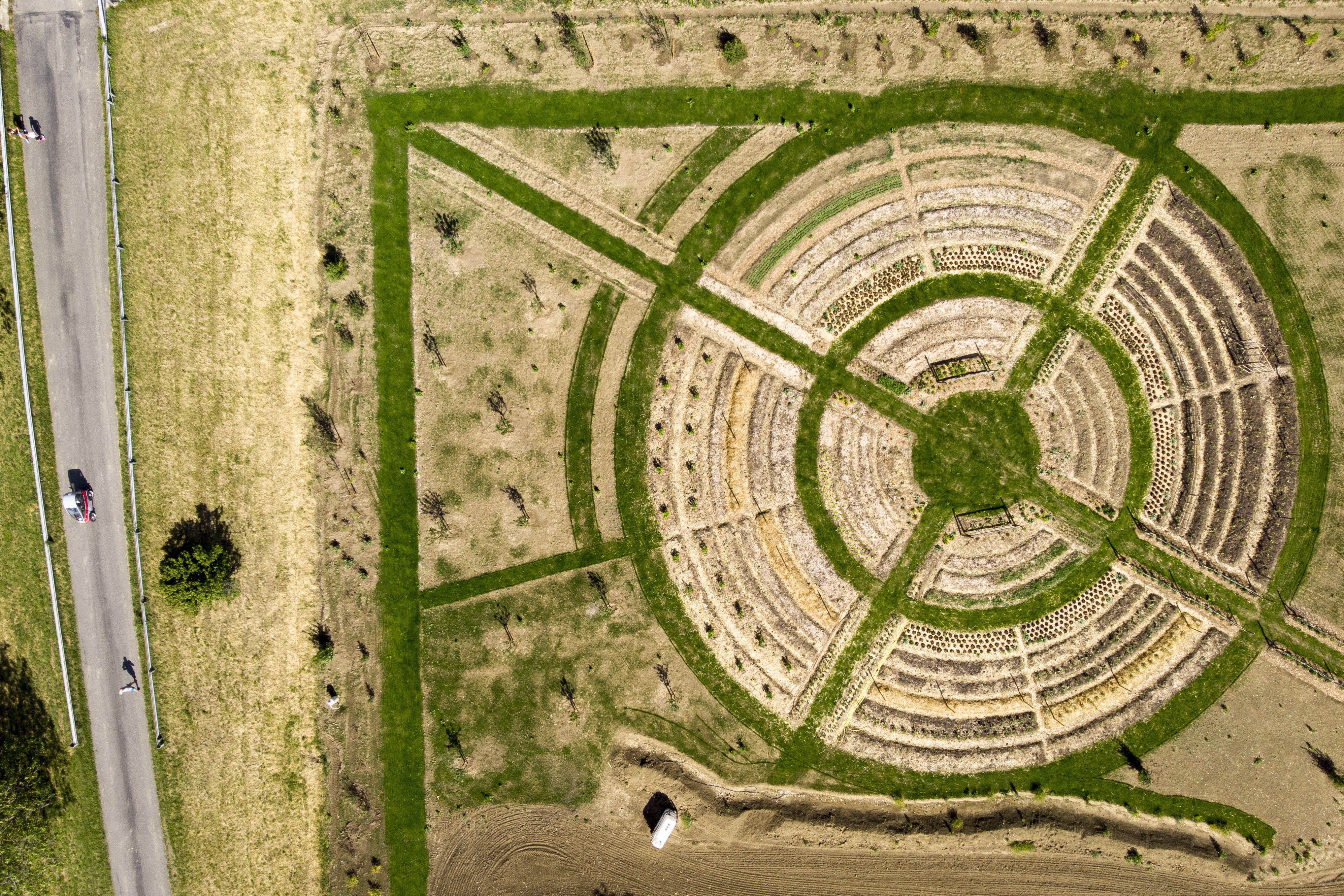 美丽的圆形花园