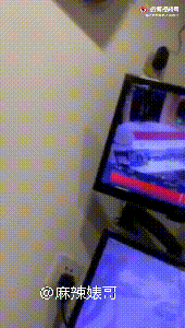 钱枫被指性侵,他之前那些猥琐事也该提提了