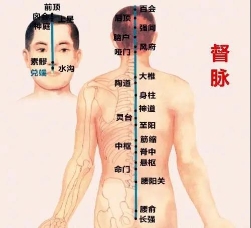 督灸使用方法图片图片