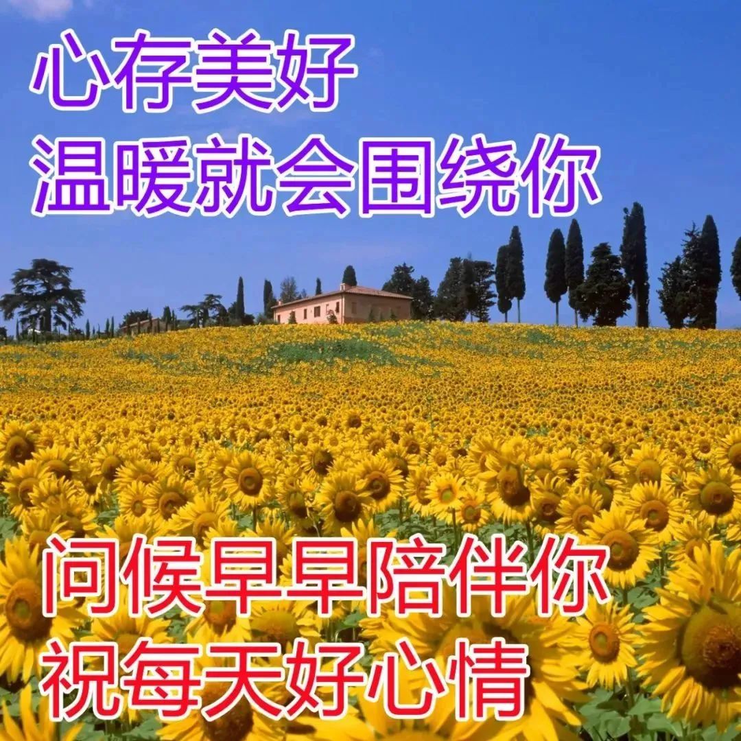 幸福图片唯美早安图片