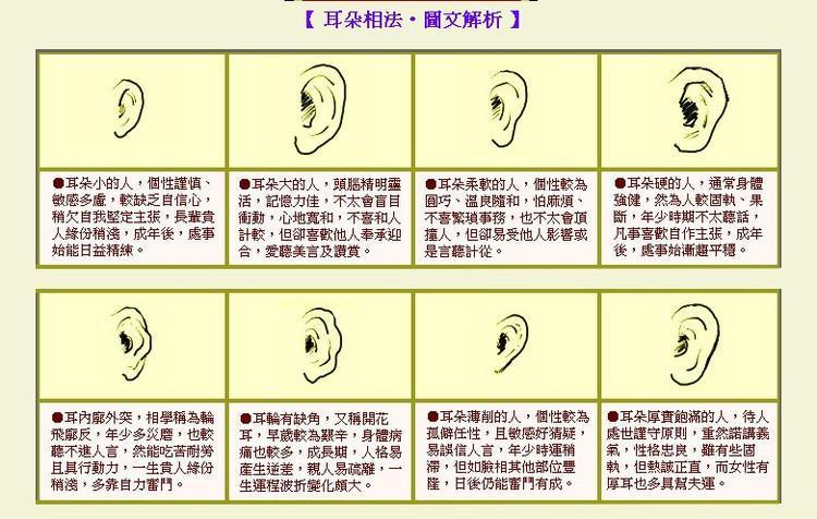 心理学 这8种耳朵的形状