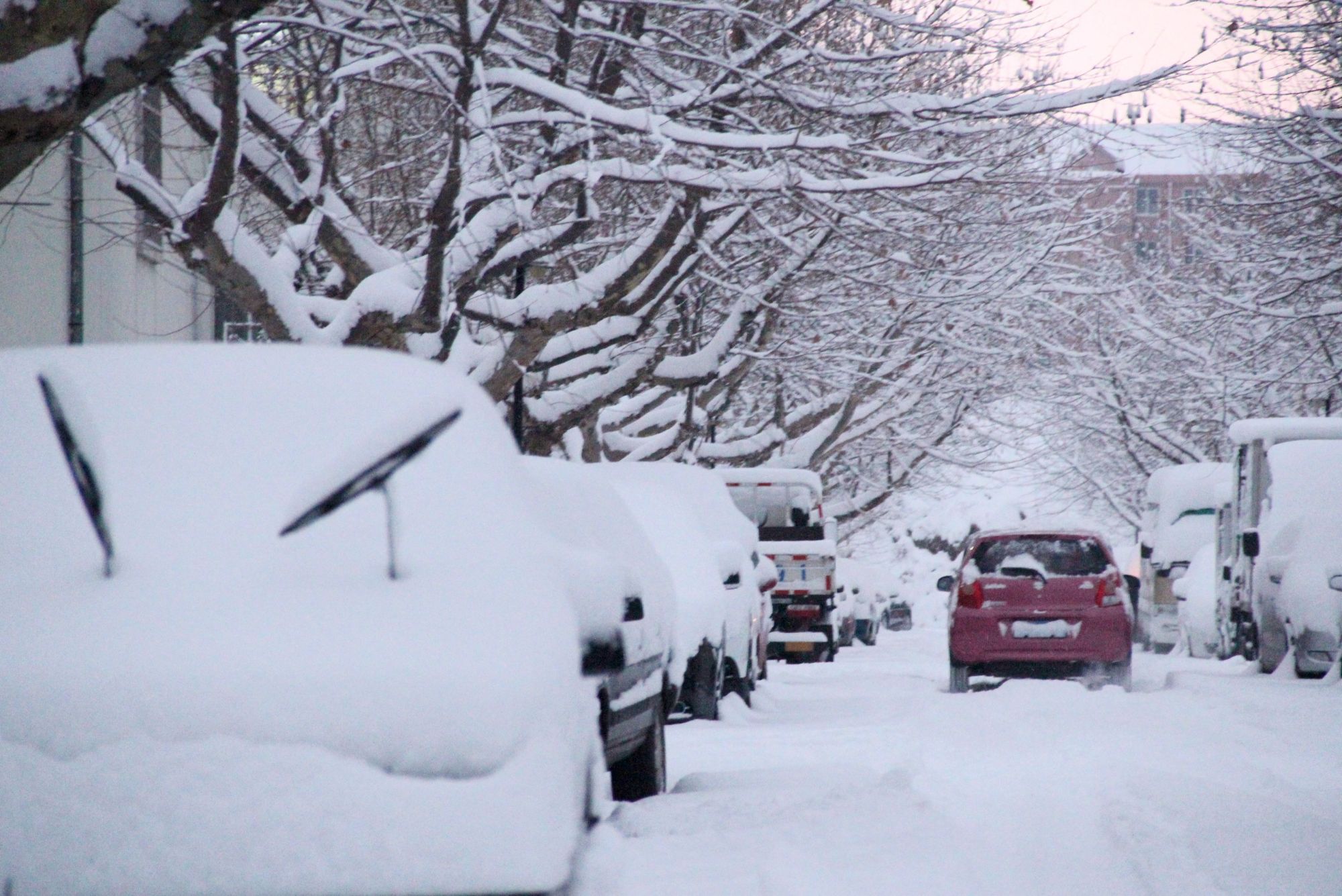 东北特大暴雪图片图片