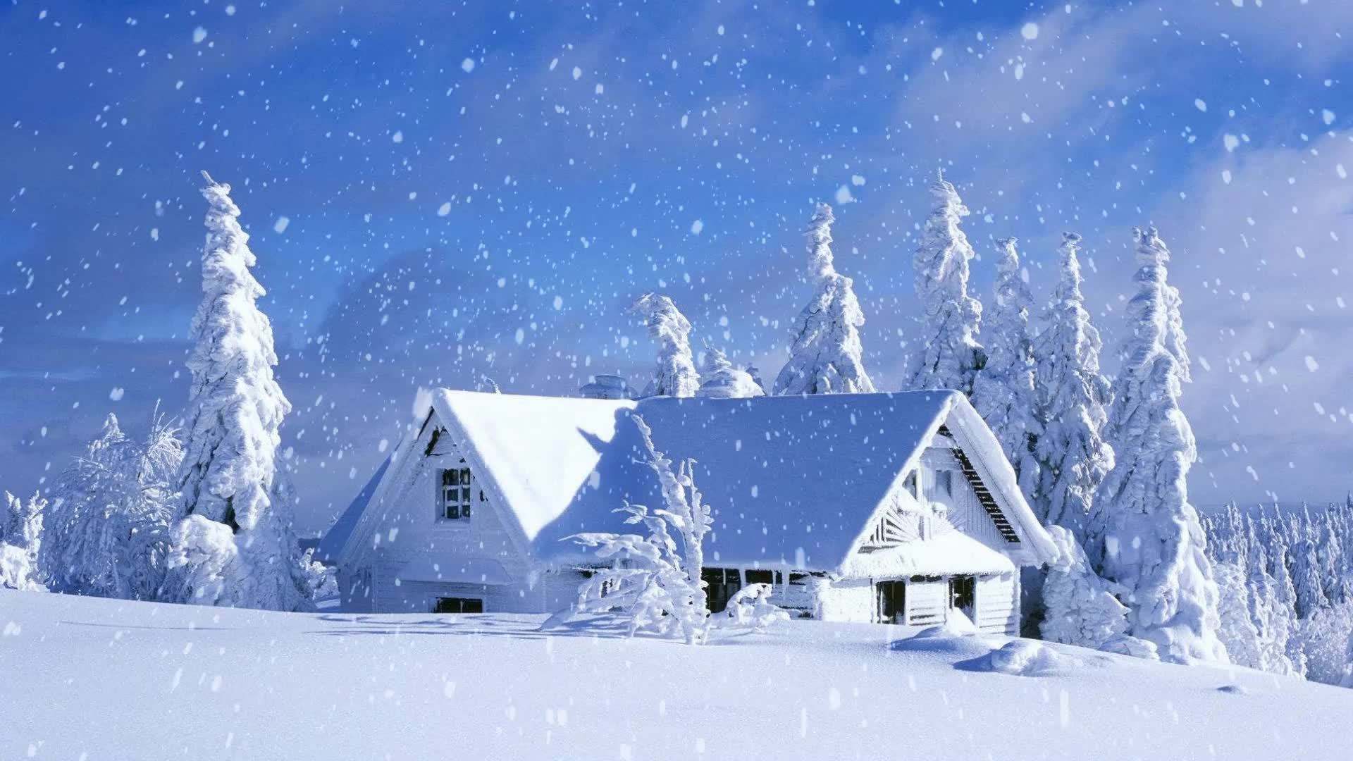 下雪场景图片 景色图片
