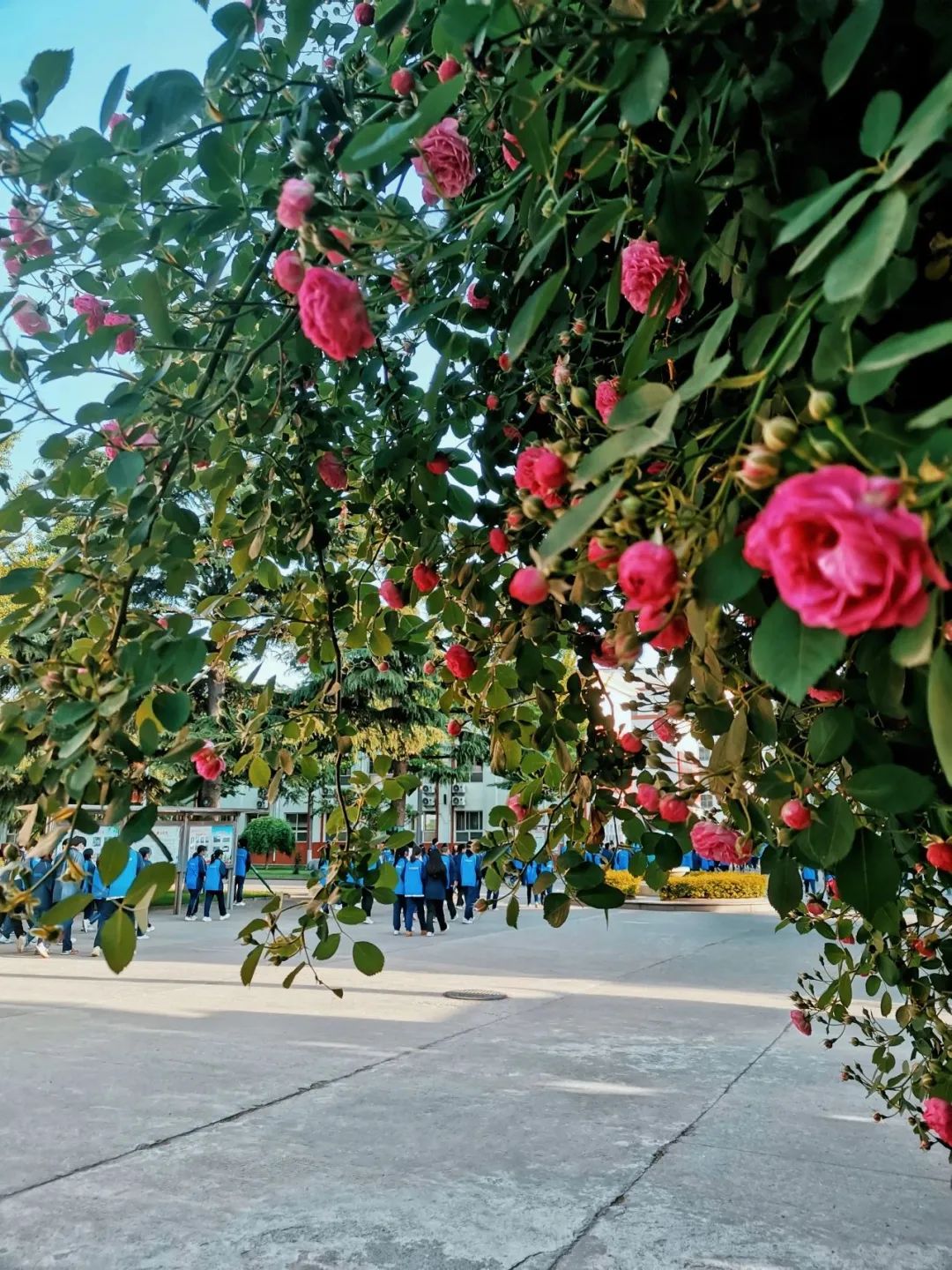 阳城一中高一新生8月3日报到啦!