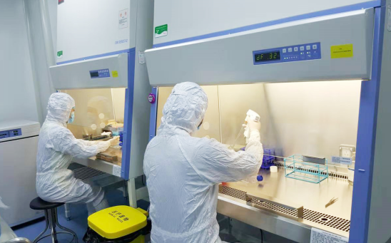 走进糖尿病治疗的前沿:李非博士探索糖尿病的防治