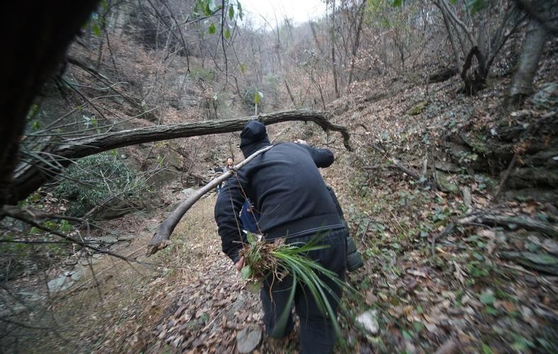 終南山修行者全跑光了!房費太貴,這些隱居者什麼來頭?