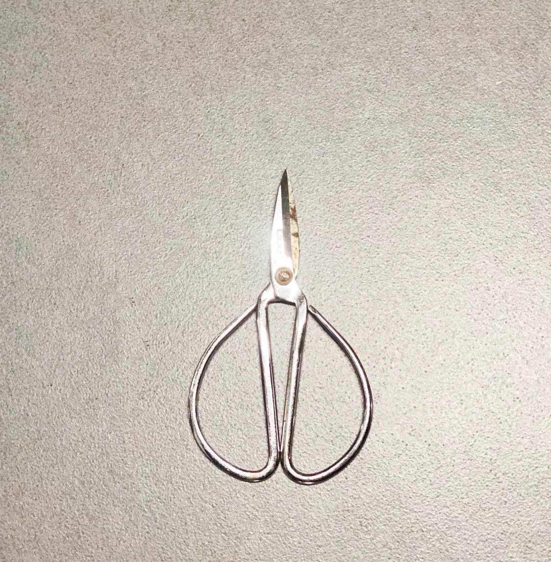 （所物®）双•剪 Double Scissors —— “再也不必左右为难”左右手通用性剪刀 ！！！ - 普象网