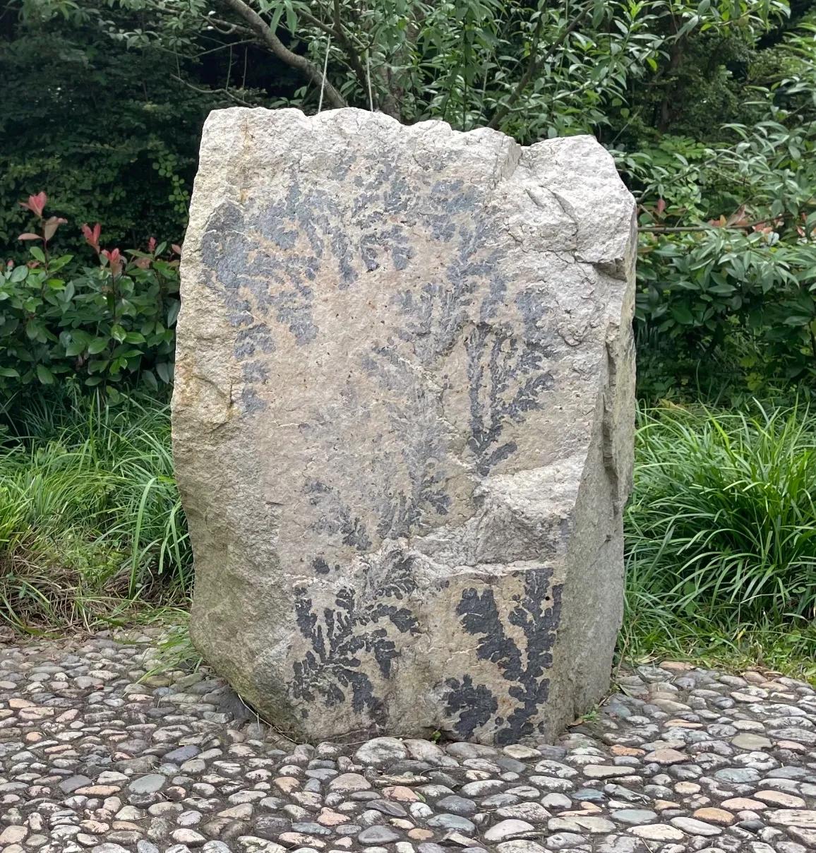 舟山"桃花岛",探寻金庸笔下的武侠踪迹,看时光造就的美景奇观