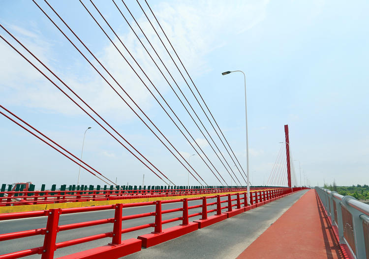 新建泖港大桥今天全线通车!"斜拉桥之母"全新亮相