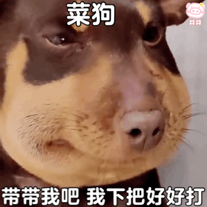 菜狗的春天来了索尼申请专利教菜狗玩游戏