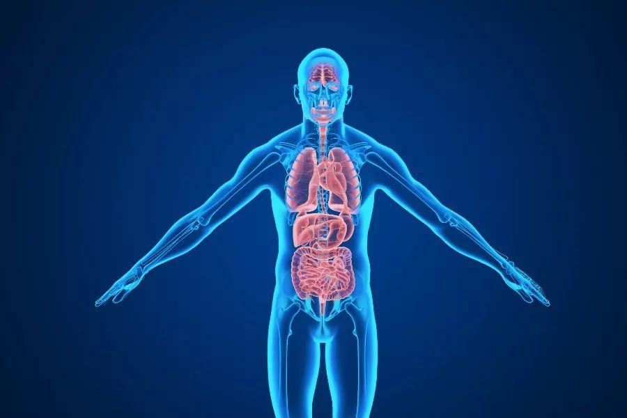 来看看倪师留下的补肾妙招吧