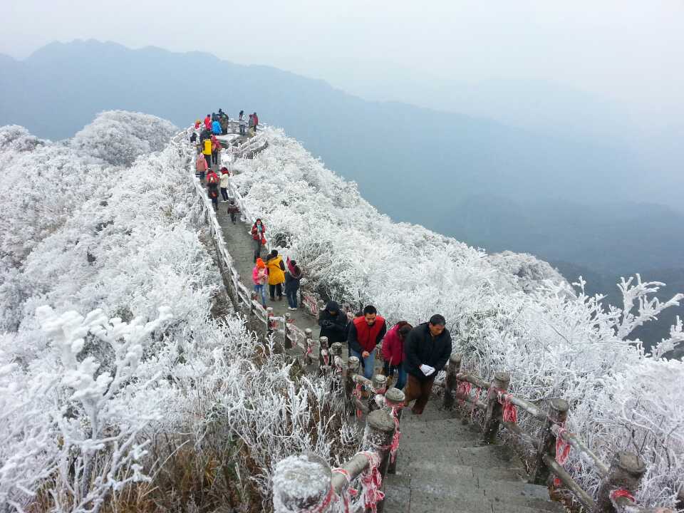 下雪了!原来广西的雪景也能如水墨画般梦幻美丽