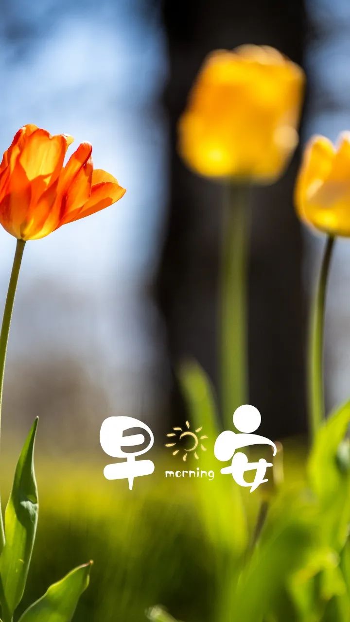 最新早安励志正能量句子早上好图片