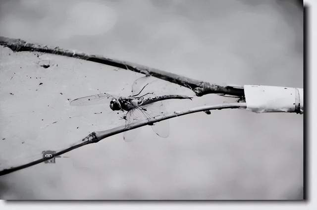 40张稀罕的童年老照片:60后70后80后的童年回忆,是否有你的样子