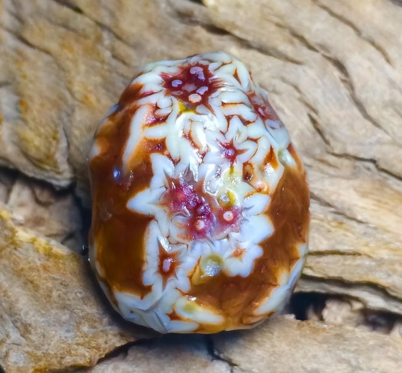 2016年,贵州贵阳陈女士,豪掷580万只为买下三组筋脉石