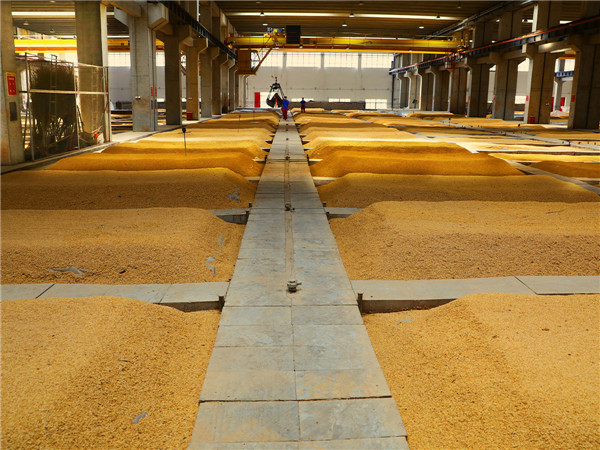 一杯白酒下肚,我不再焦虑了