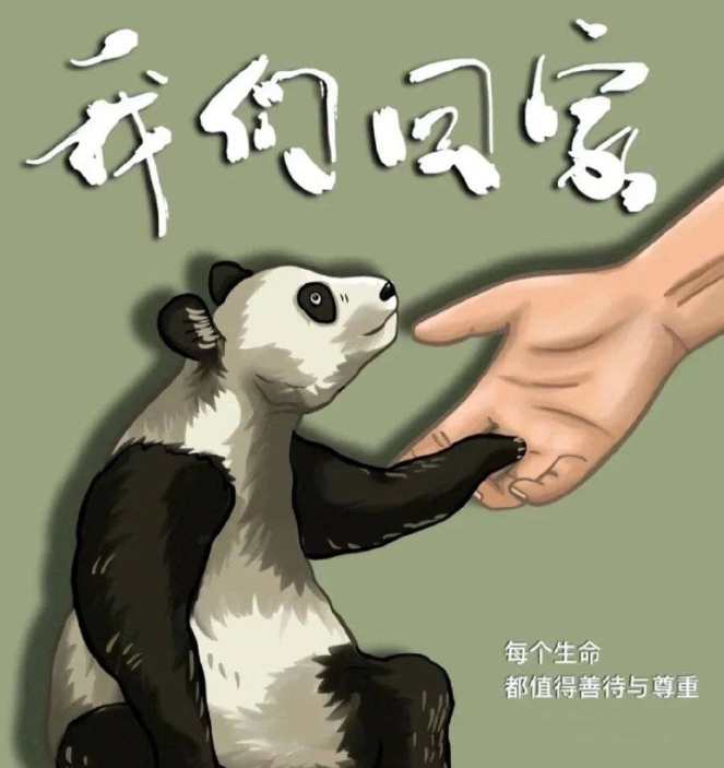 向太陈岚愿带头助养熊猫丫丫,称丫丫没回来之前我们不能松懈