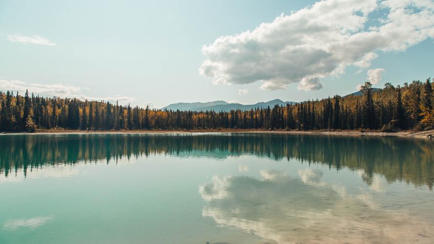 《苏涵穆闻庭顾明舟》苏涵穆闻庭顾明舟=苏涵穆闻庭小说阅读