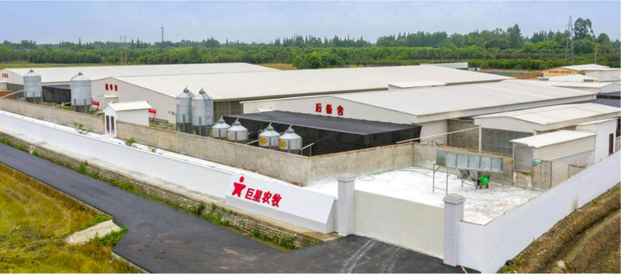 生猪养殖龙头,巨星农牧:成本优势与成长弹性兼顾,逆势快速扩张