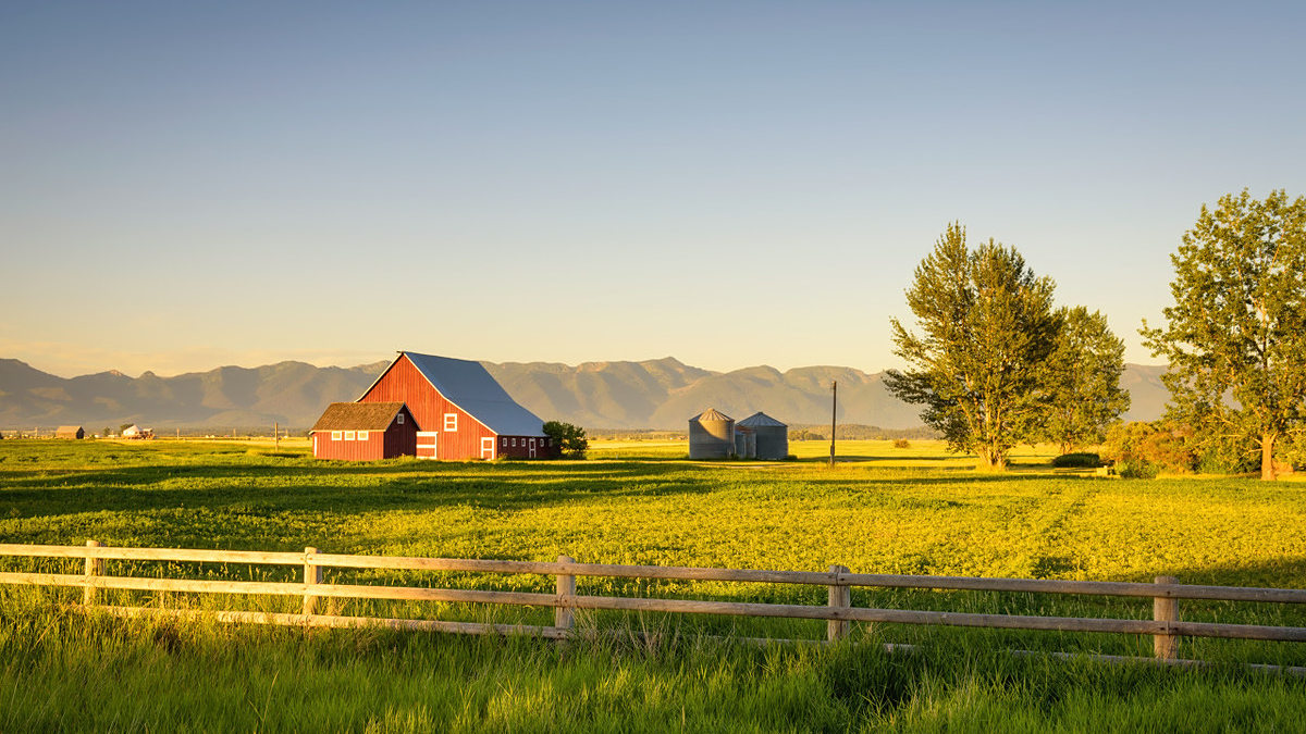 同样都是农村,中国房屋遍地,美国全是耕地农场,谁才是真农村?