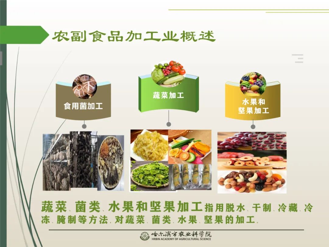 致富小产品及实用技术介绍(致富小产品及实用技术介绍视频)