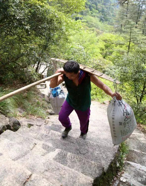 扁担的图片和用法图片