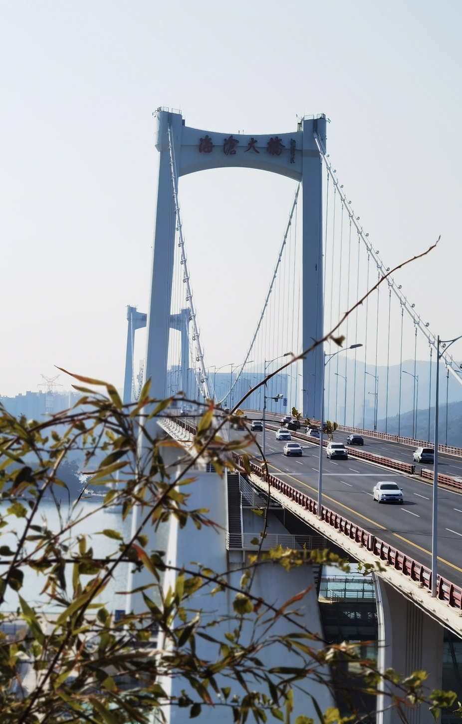 开播4天播放量破2亿,这部剧越看越上头,取景地竟是厦门?