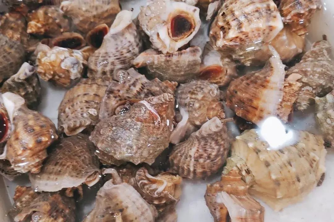 秦皇岛海鲜安全吗?