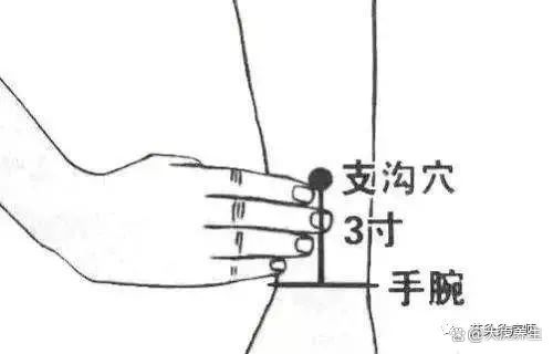 疗消化系统、心血管系统、泌尿生殖系统——太冲穴-消化系统,循环系统,和泌尿系统之间的联系