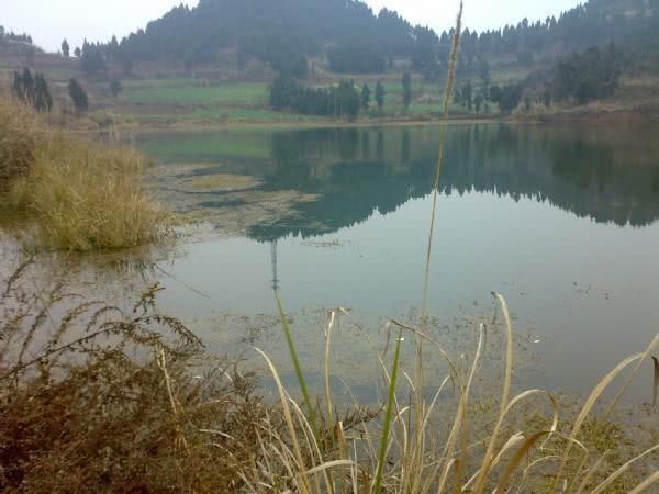 钓到的鱼,眼睛发红,属于高档河鲜,叫它"红眼马郎"