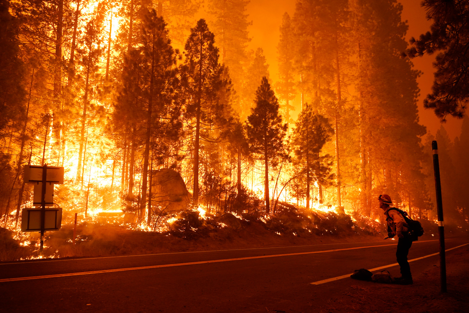 美国森林大火图片
