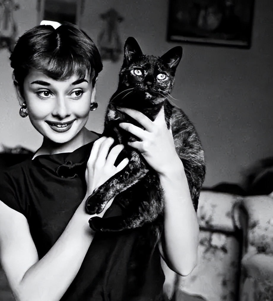 有一种优雅,叫奥黛丽·赫本的经典"小黑裙"