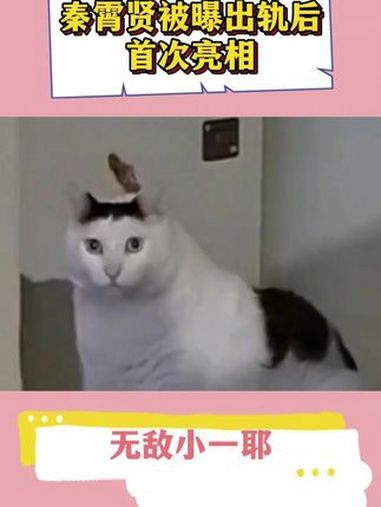 啊?这……咱就是说这是"傻子"吗 秦霄贤 辛雨锡 德云社