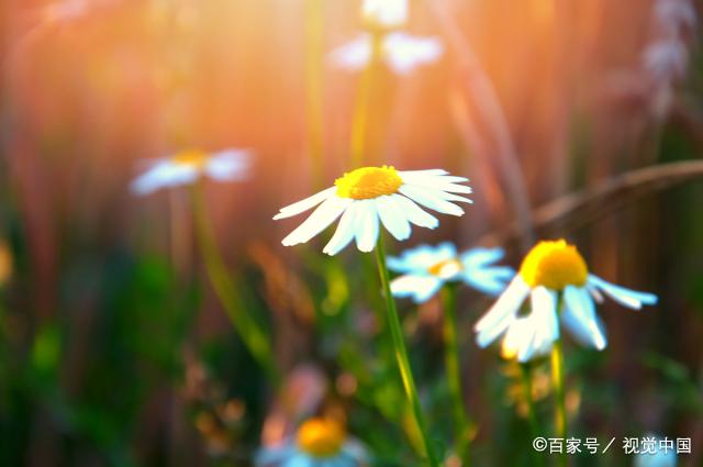 人活着,看开点,快乐一天是一天!