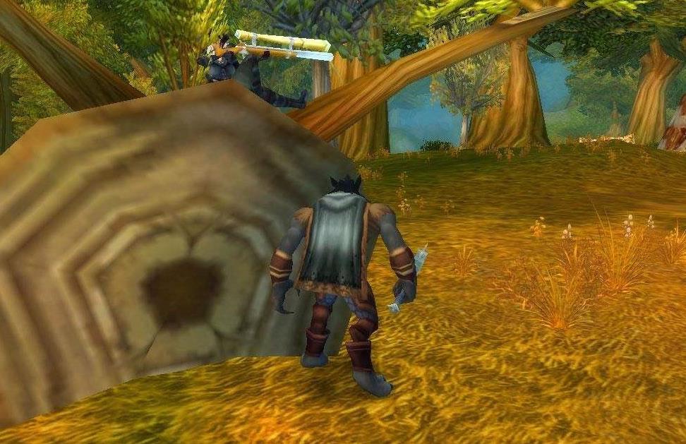 魔兽世界故事解读,菲迪亚兄弟会的现状及发展前景