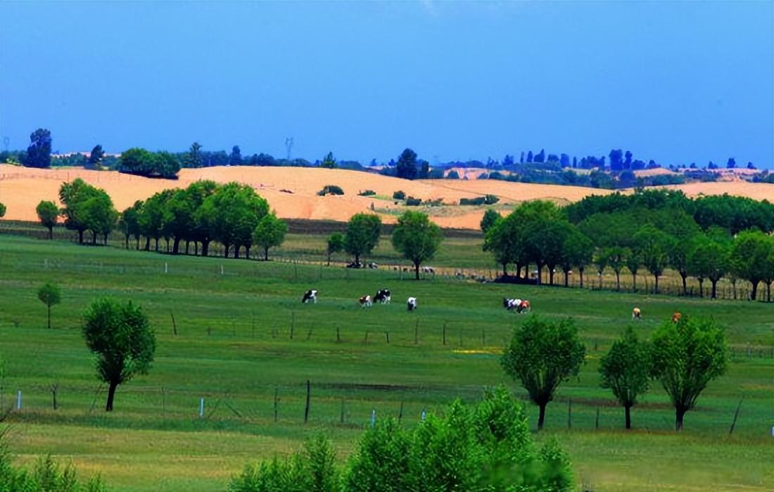 中国人种树有多厉害面积相当于8个韩国的毛乌素沙漠重现绿洲