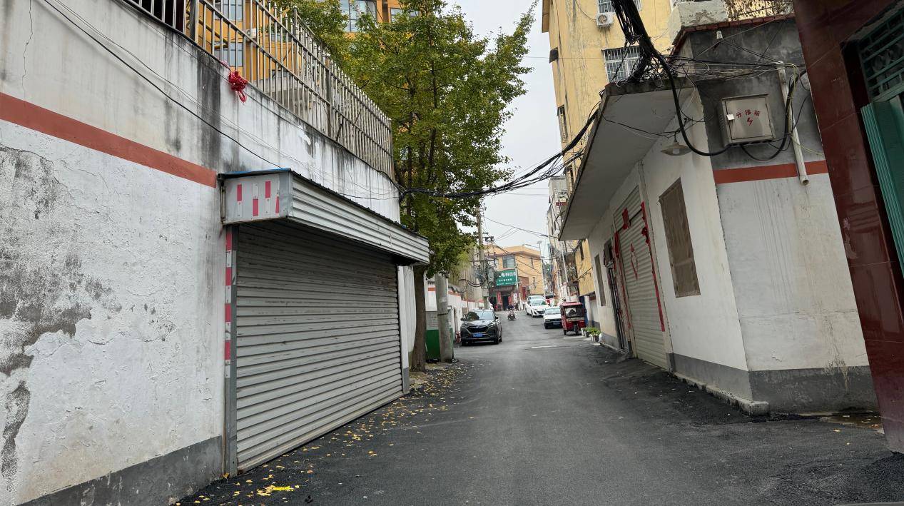 南召县城关镇:小巷道,大民生 不断提升群众幸福感