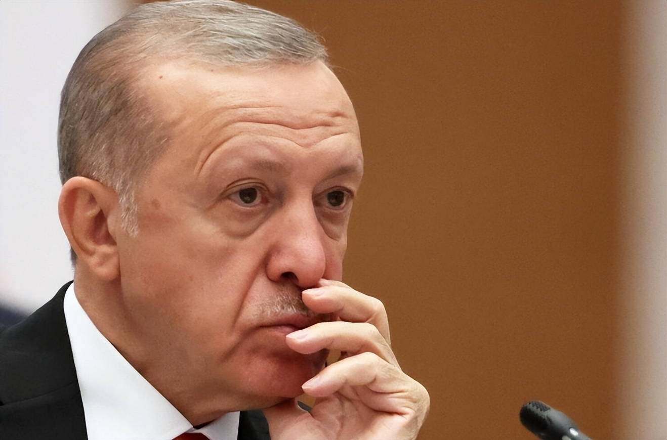 埃尔多安被耍了,想加入欧盟可以,但要在人权和自由方面满足标准