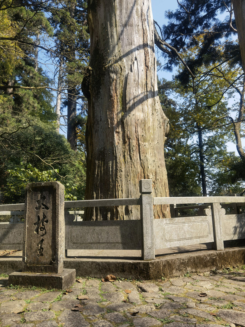 西天目山一日游图片