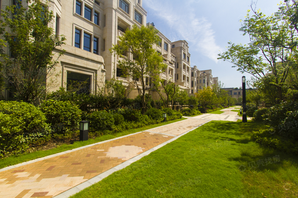 学区房从4万涨到10多万,区统考却排名平平,学区房值这么多吗